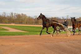 Grosbois-estate,-Drivers,-French-Trotters,-Grosbois,-Harness-racing,-Horse,-Horses,-Kaleidos,-Kaleidos-images,-La-parole-à-limage,-Marolles-en-Brie,-Sulkies,-Sulky,-Tarek-Charara,-Trotters